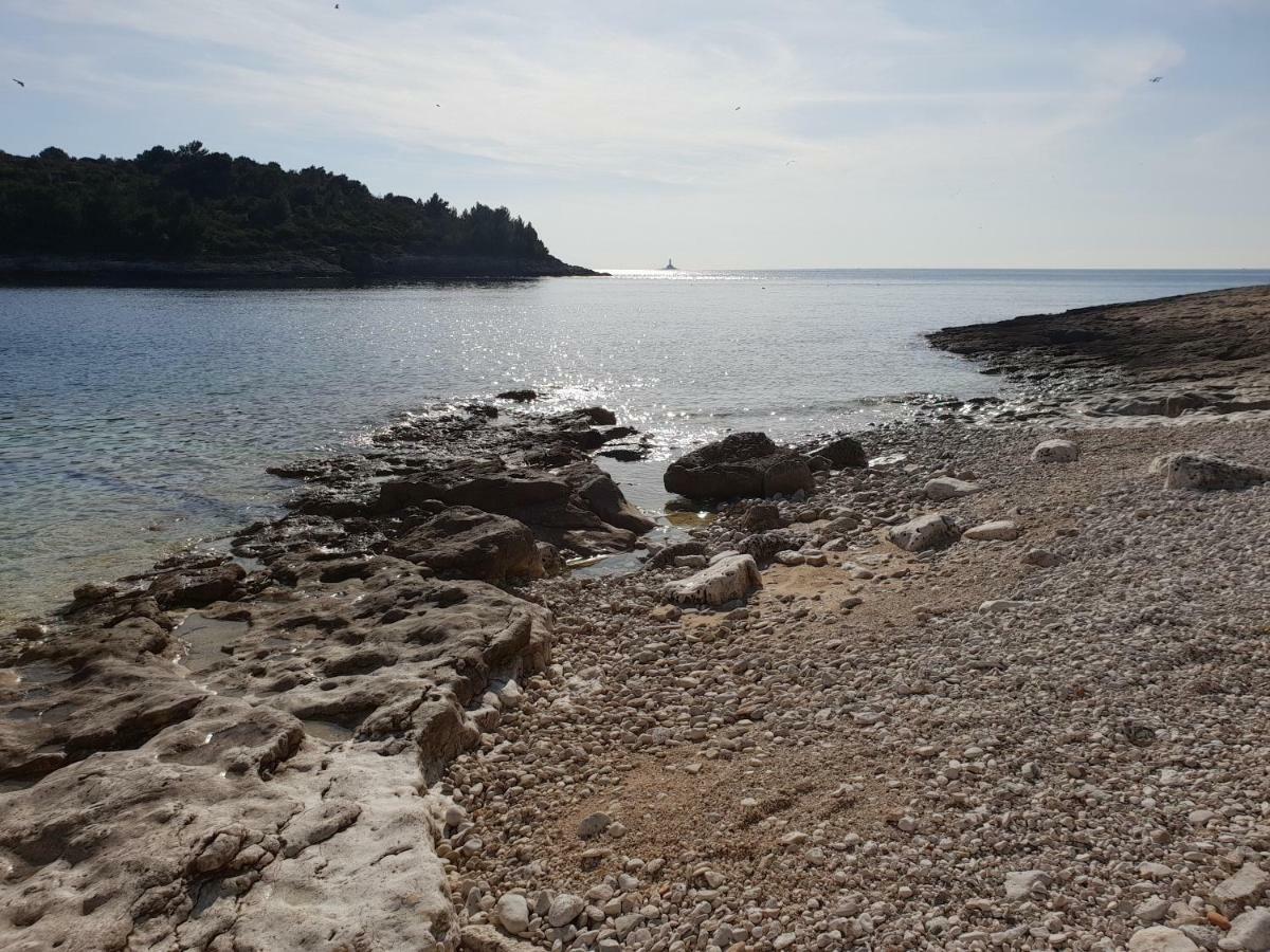 Blue Star Apartman Premantura